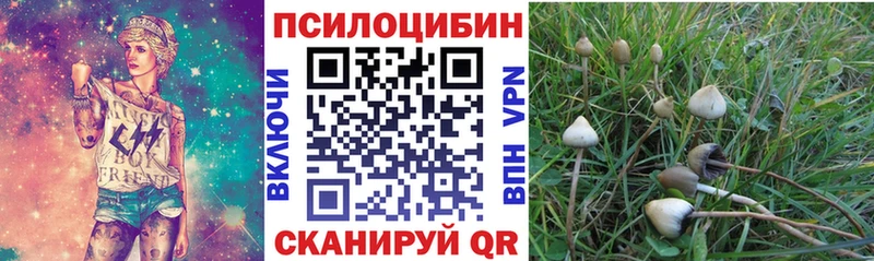 Псилоцибиновые грибы мухоморы  Печоры 